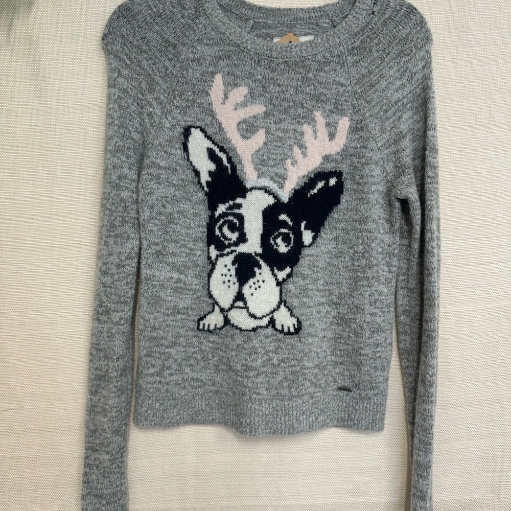Abercrombie & Fitch Dog Sweater